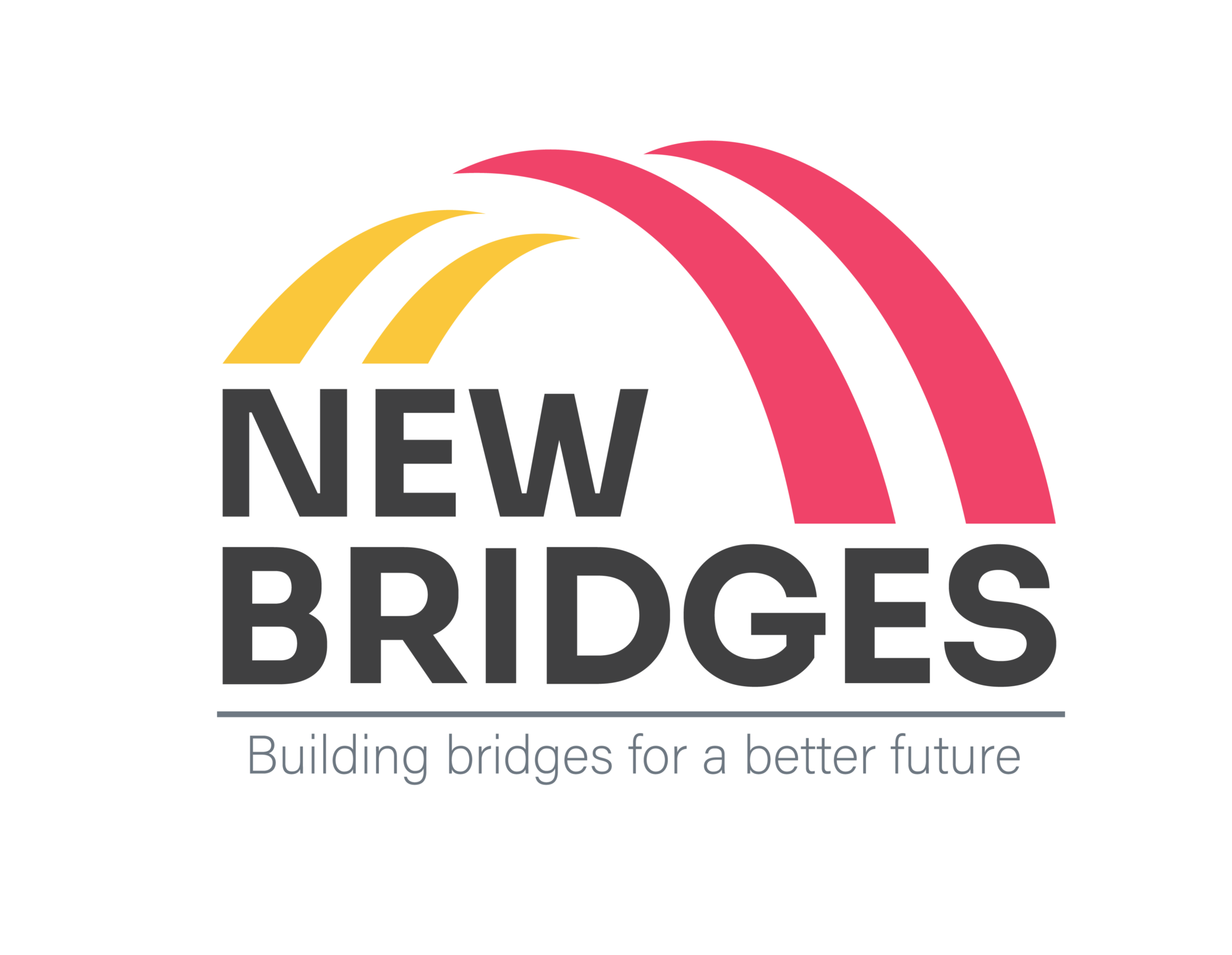 New Bridges Ngo