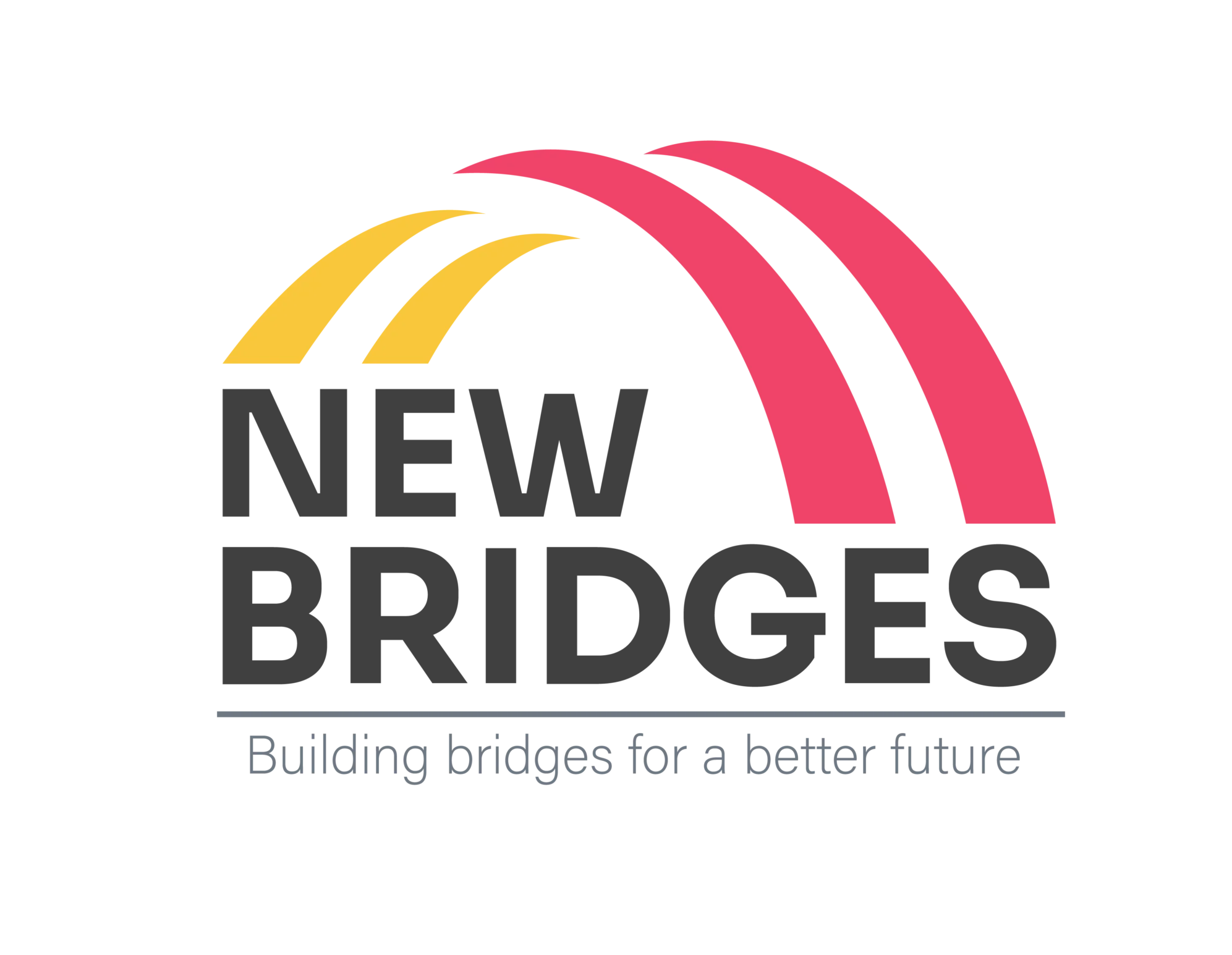 New Bridges Ngo